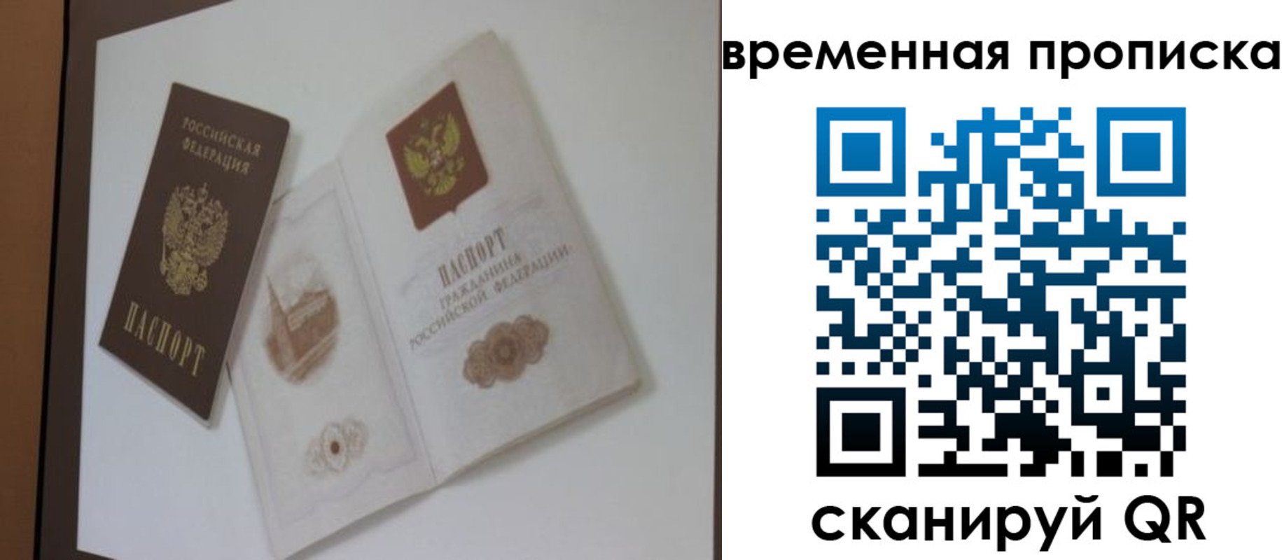 прописка 2025 в Железногорске